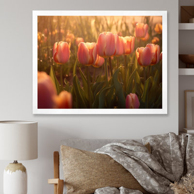 Champ de tulipes sur toile