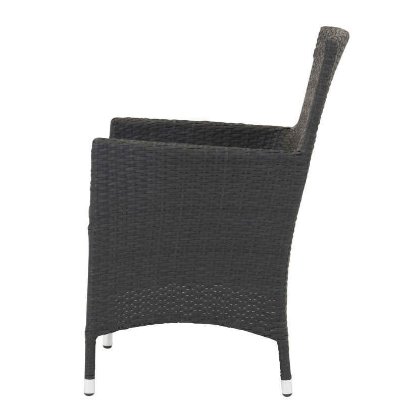 Newlin Patio Dining Armchair with Cushion
