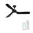 52 Inch Black Ceiling Fan With Light-121071254-121071255