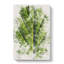 Leaf Pathways - Wrapped Canvas-56633642