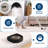 Area Rugs for Living Room Washable Rugs Non Slip Stain Resistant Bordered CarpetFoldable Rugs for BedroomDining RoomNursery-1091369713-1091369612