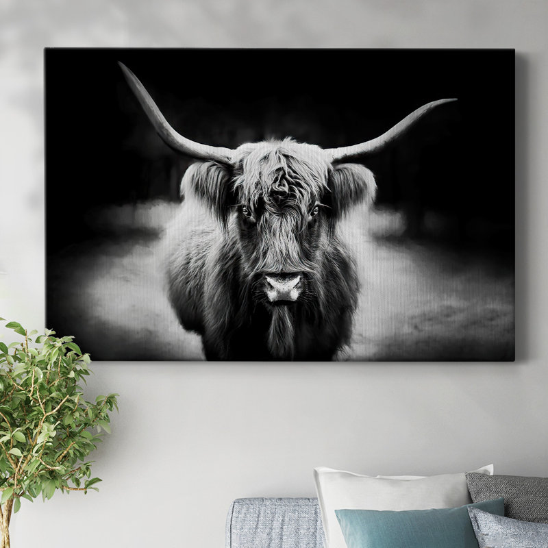 Photography Study Highland Cattle-Gallery Wrapped Canvas