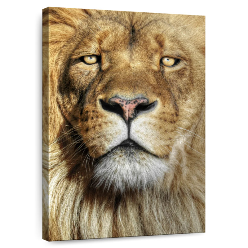 Brampt Epic Lion Head, 45" H x 30" W
