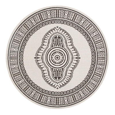 Oriental Indoor / Outdoor Rug