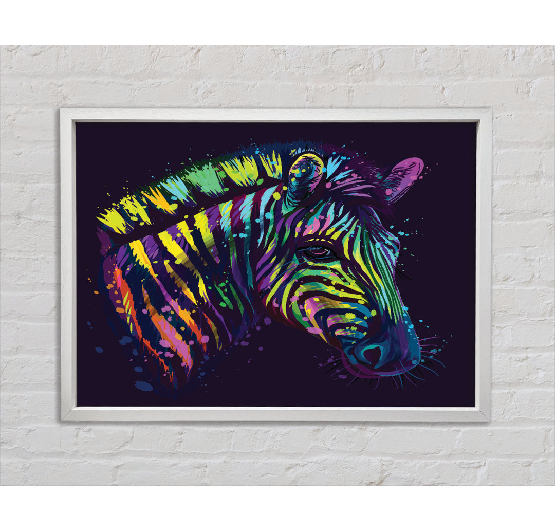 Regenbogen Zebra Leben - Druck