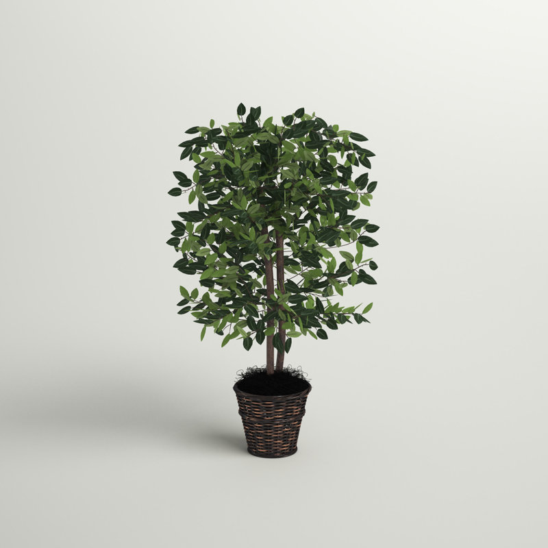 48'' Faux Ficus Tree in Wicker/Rattan Basket