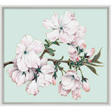 Powder Blue Blossom 1 Print