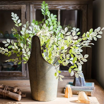 Branche de feuille de printemps frais