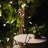 288'' LED String Lights-11019978
