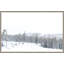 Winter White 1 Print by Thom Filicia