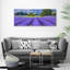 Lavender Field - Wrapped Canvas Print