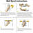 Abstract Floral Peel & Stick Border-93996932