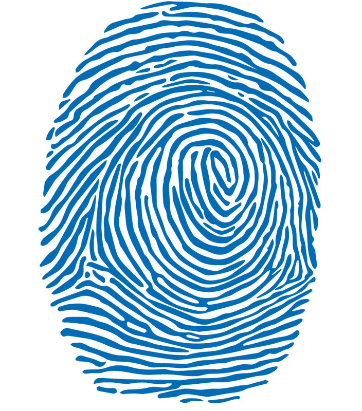 Décalcomanie murale à empreinte digitale, Bleu azur, H 30 po x l 21 po x P 0,01 po
