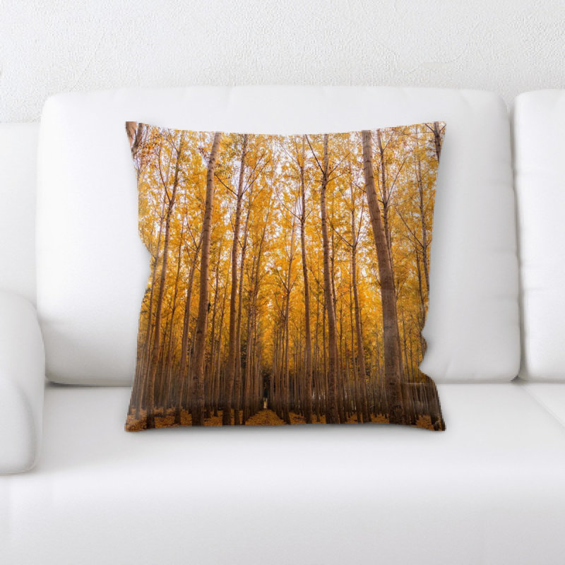 Housse et insert de coussin carré Hamerton