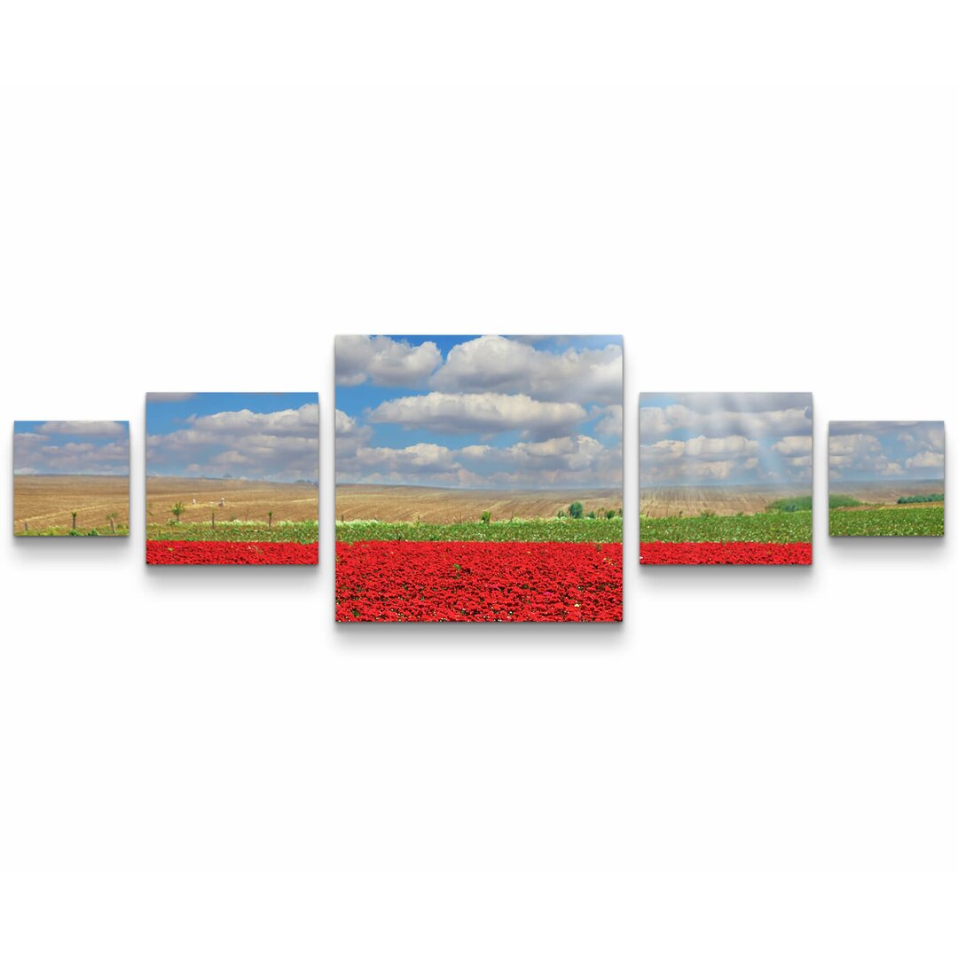 5-tlg. Leinwandbilder-Set Rotes Blumenfeld unter Wolkenhimmel