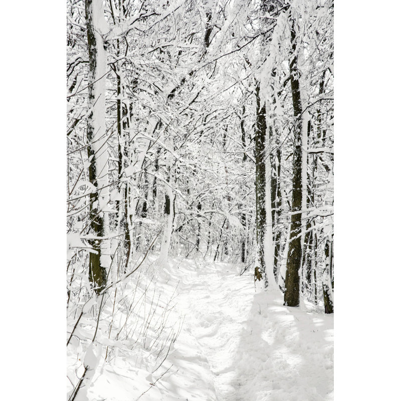 Snowy Forest - Photographie sur toile tendue, H 30 po x l 20 po