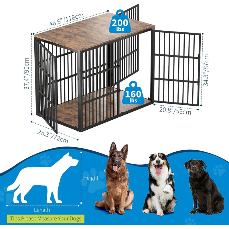 Dog House
