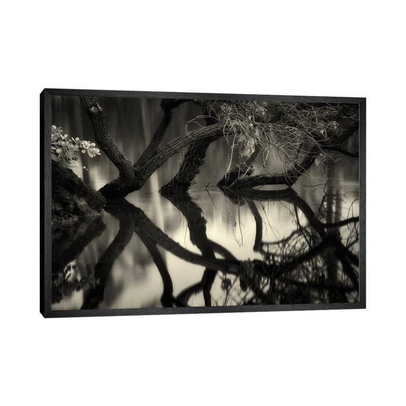 Tree Reflection 1 Piece Wall Art on Canvas, 101.6 cm H x 66.04 cm W, Black Floater Frame