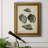 " Vintage Shell Study III "-2009809593