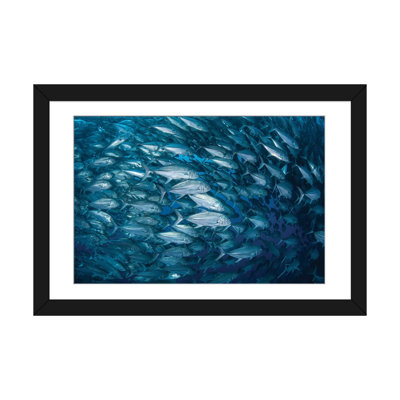 " A Massive School Of Bigeye Trevally Near Cocos Island, Costa Rica " by Ethan Daniels