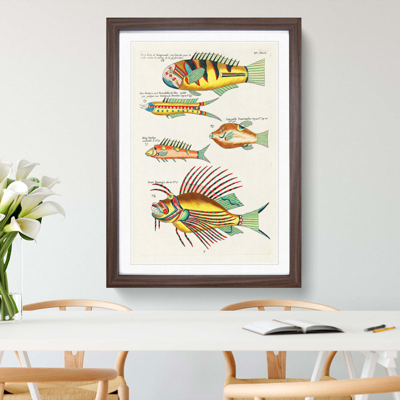 East Indies Fish Illustrations XV by Louis Renard - Picture Frame Graphic Art Print, 65cm H x 48cm W x 2cm D, Walnut Framed