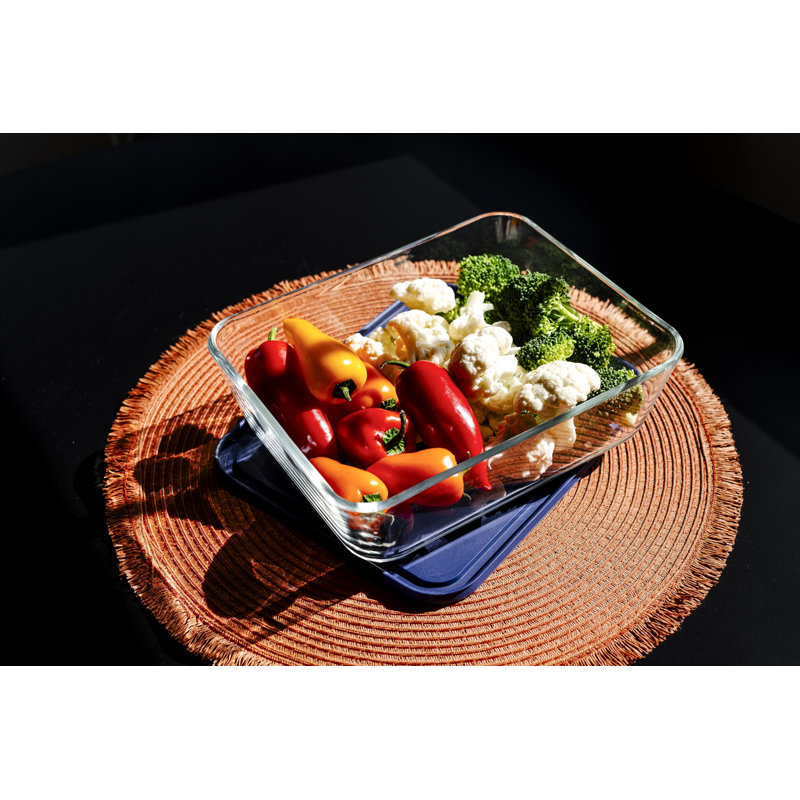 Ditlow 89.61oz. Food Storage Container, Blue