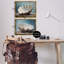 «Fresh Beach Finds Shells», ensemble de 2 toiles flottantes encadrées par Petal Prints Design-1151998433-1151998436