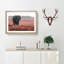 Marching Elephant in Abstract - Framed Print-55575750-55575751