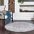 Oriental Indoor Rug-1676657650