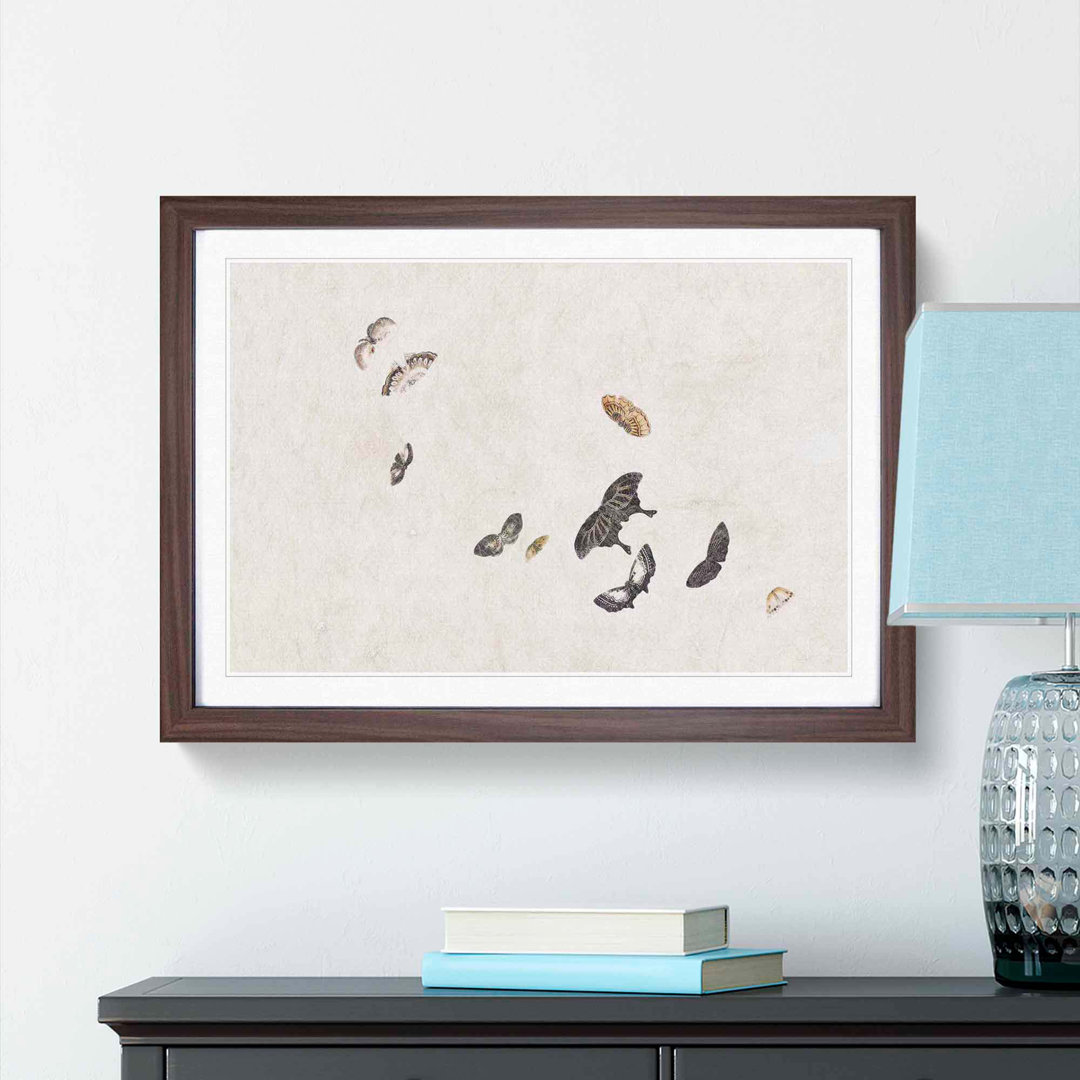 Collection of Butterflies by Shibata Zeshin - Picture Frame Painting