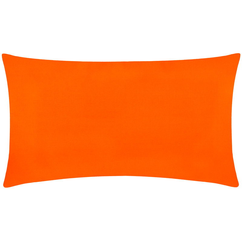 Frieze Indoor / Outdoor Rectangular Throw Pillow Cover