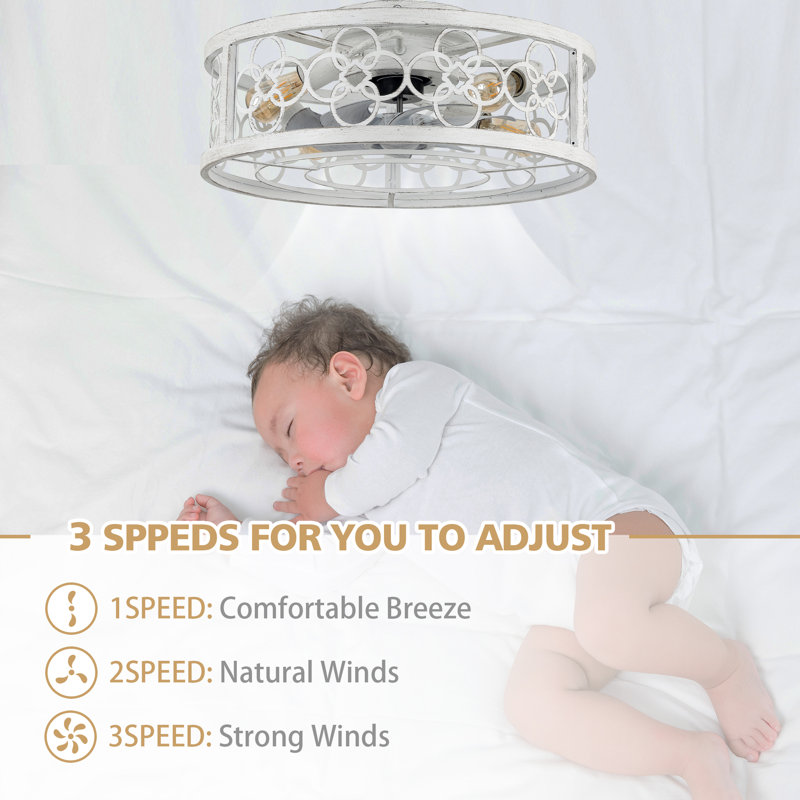 Barney 19" Caged Ceiling Fan with Light Kit and Remote, Flush Mount Farmhouse Ceiling Fan with Light