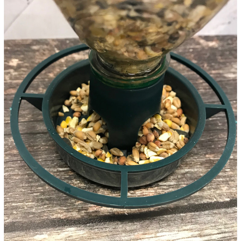 Georgene Hanging Soda Bottle Feeder