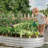 Galvanized Planter Raised Garden Beds-318434228