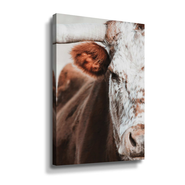 Union Rustic Red And White Bull On Canvas Print | Wayfair