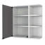 Armoire à pharmacie avec six tablettes et armoire à miroir-55820562