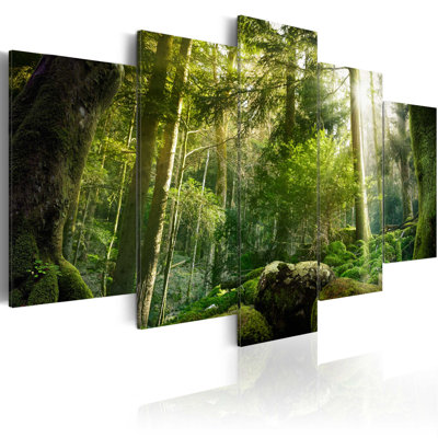The Beauty Of The Forest - 5 Piece No Frame Print on Canvas