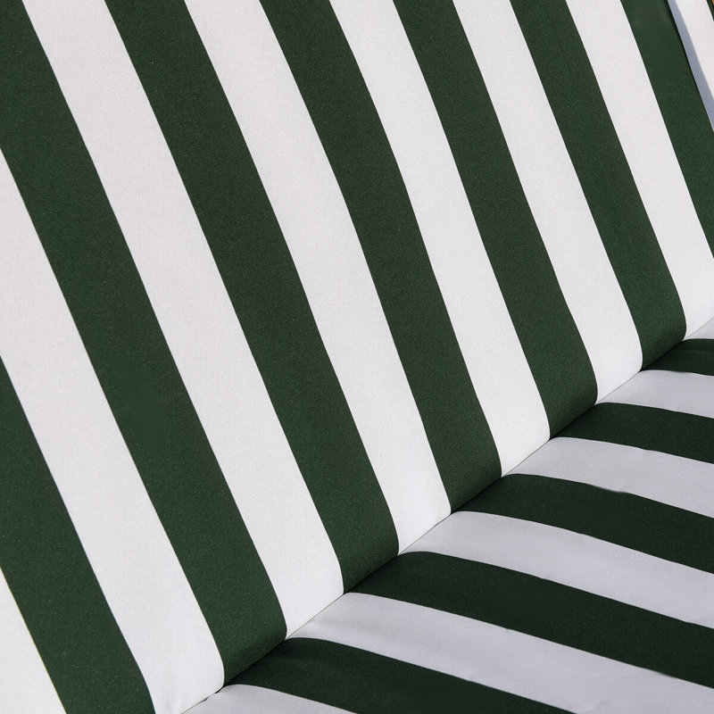 Porch Swing with Canopy