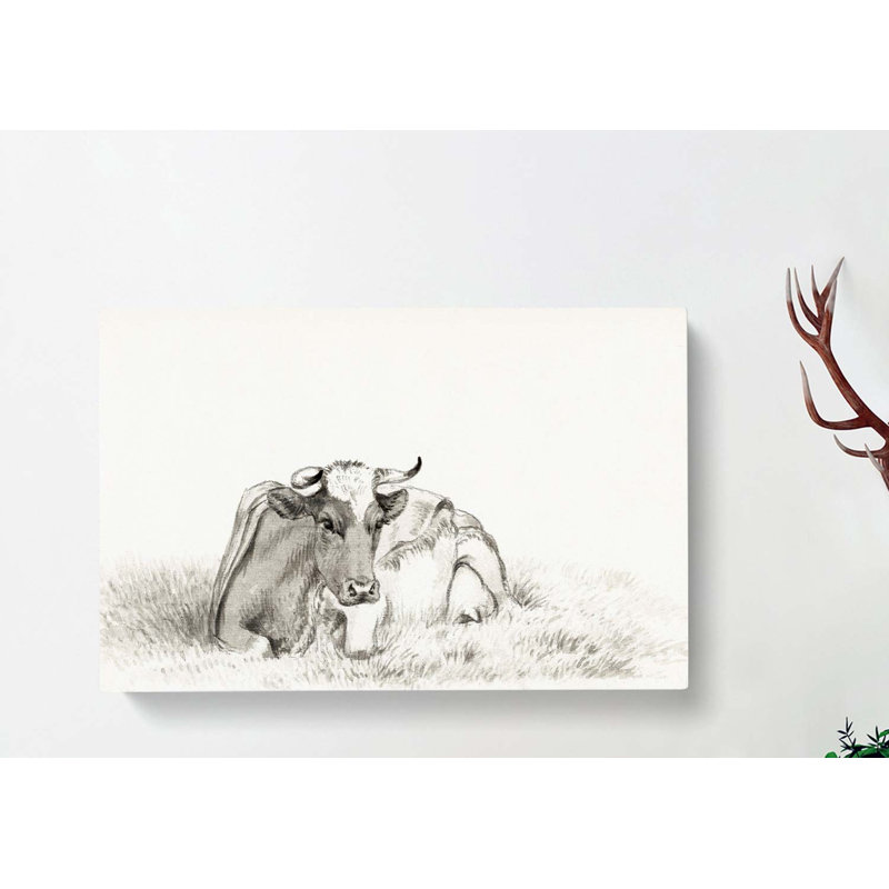 Peaceful Cow by Jean Bernard - Wrapped Canvas Drawing - Wrapped Canvas, 50cm H x 76cm W x 3cm D