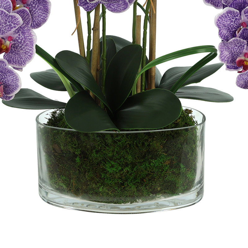 Polysilk Orchid Arrangement in Vase