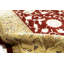 Oriental Area Rug in Rust/Beige