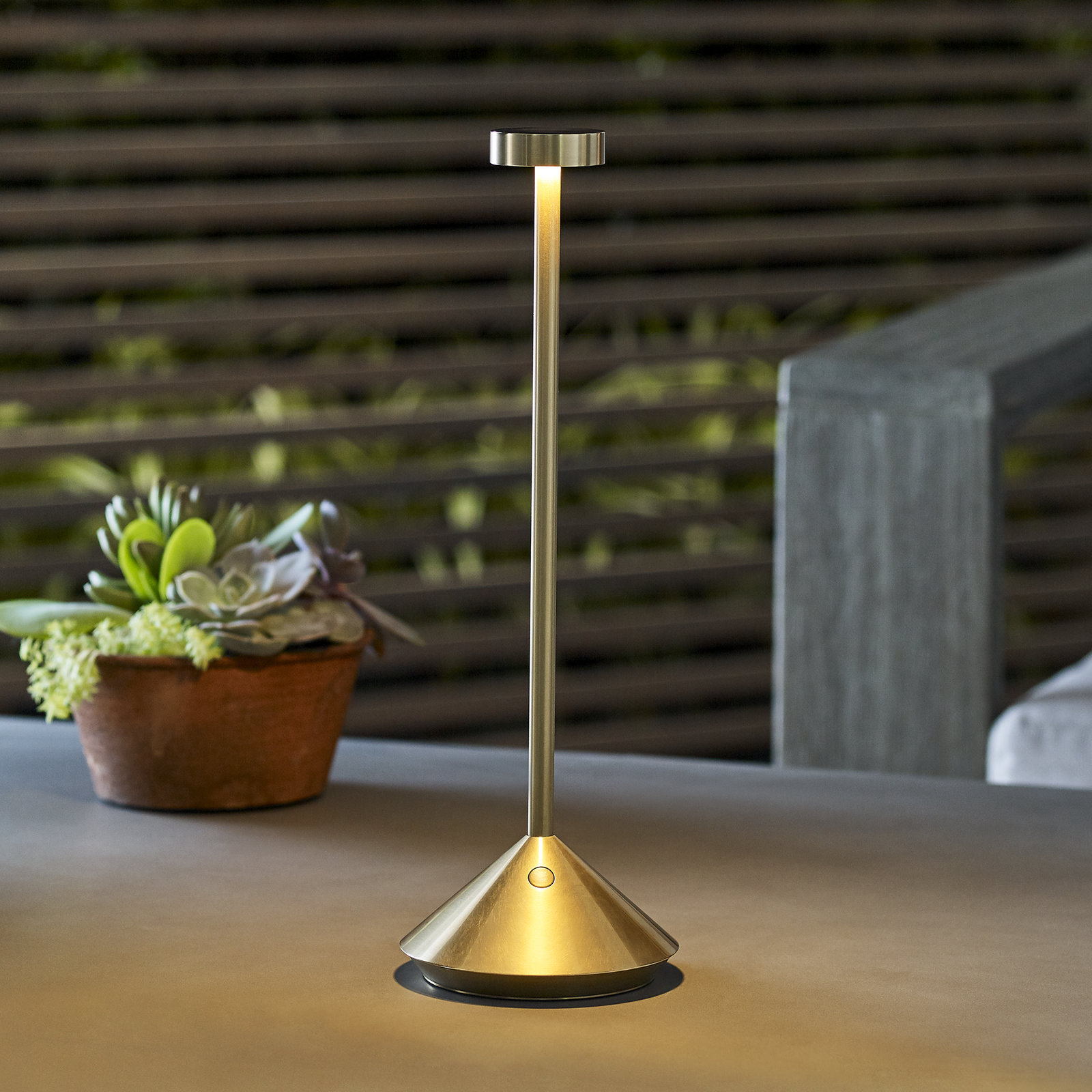 Moneta Novelty Lamp, Natural Brass