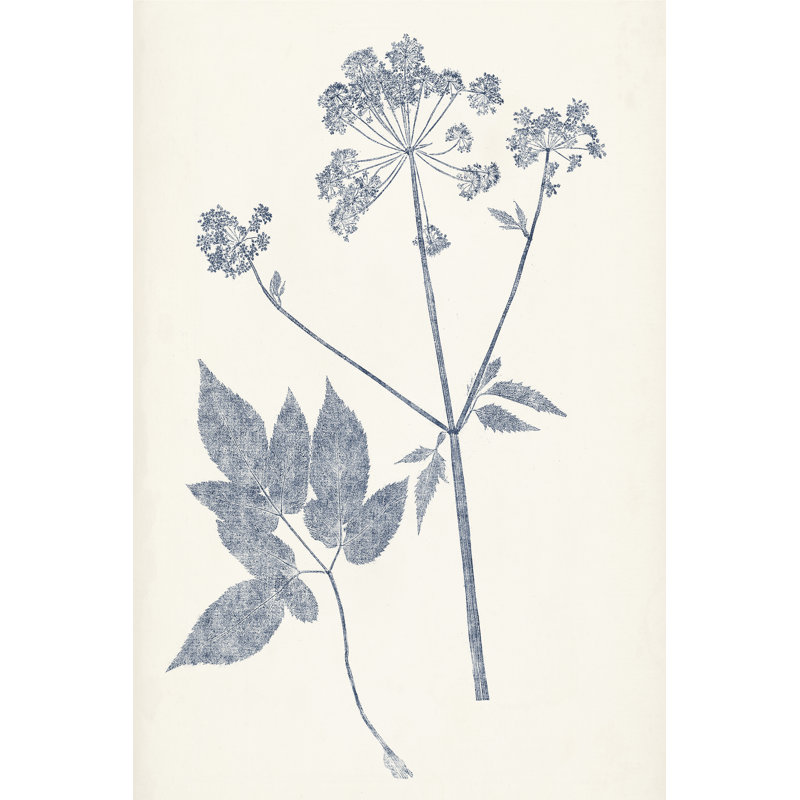 Navy Botanicals IV by Vision Studio - Painting, 91cm H x 61cm W, Black Floater Framed