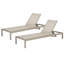 Caggiano Outdoor Metal Chaise Lounge Set