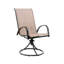 Ensemble de 2 chaises berçantes pivotantes pour l'extérieur Four Seasons Courtyard Sunny Isles, brun