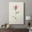 Mauve Garden Flowers VI - galerie sur mesure-299010296