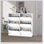 Armoire à chaussures pour le vestibule, range-chaussures à 6 niveaux avec panneaux sculptés, garde-chaussures à découper