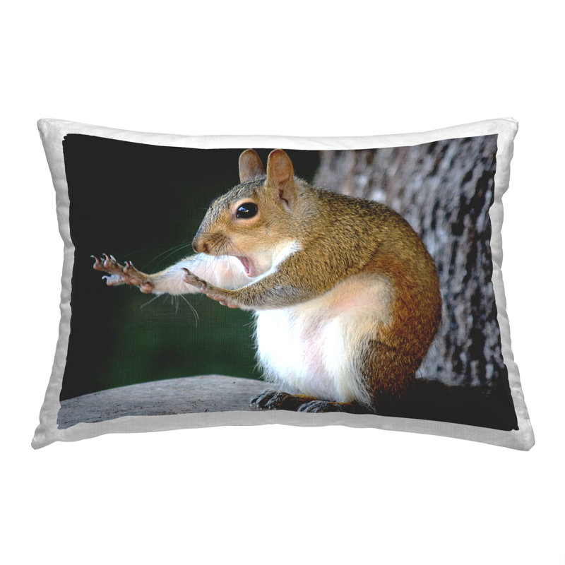  Decorative Printed Throw Pillow by Mary McGowan, Funny Squirrel Pose