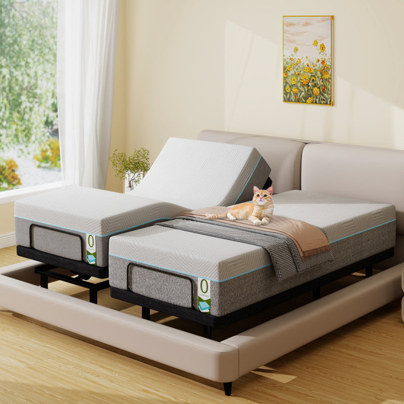 Structure de lit réglable avec matelas en mousse viscoélastique gélifiée blanche de 12 pouces, Grand