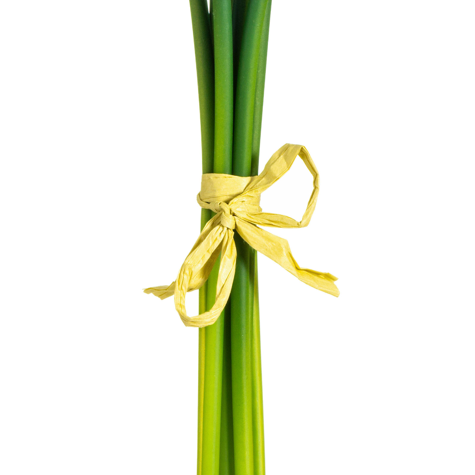 Paraiso Calla Lily Stems, Yellow